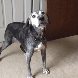 Meet your Posher, Lori